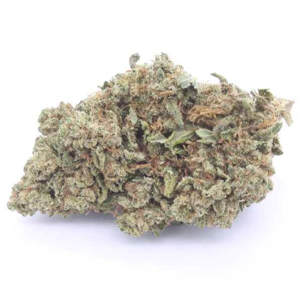 Gelato 41 Dettaglio Cima 3