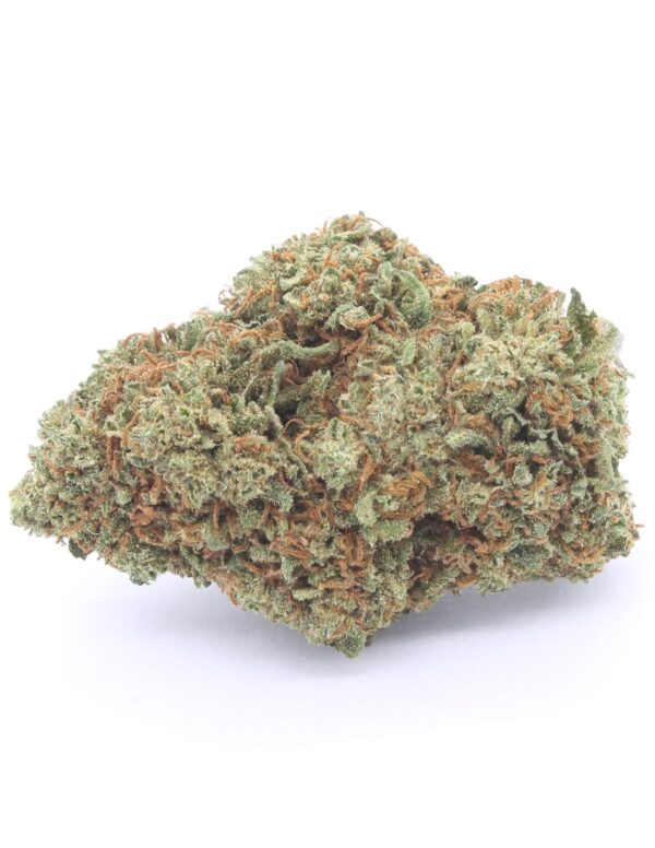 Strawberry Haze Dettaglio Cima 4