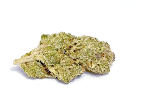 White Widow Dettaglio Cima 2