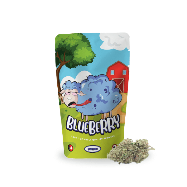 Blueberry Pie